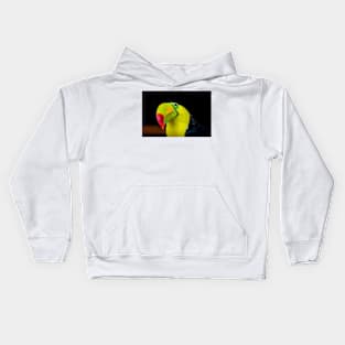 cli toucan 2 Kids Hoodie